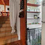 2 Bedroom Amazing Home In Bas-En-Basset Bas-en-Basset